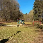 Sternschnuppe