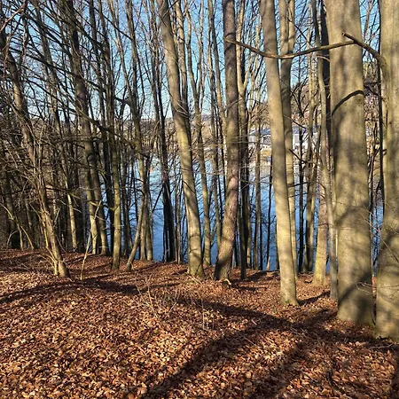 Sternschnuppe *